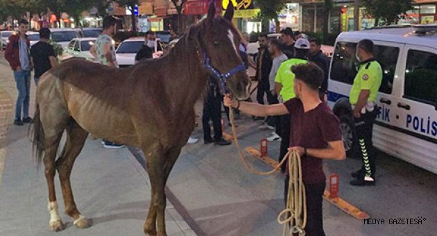 Kahramanmaraş'ta trafiği tehlikeye sokan atı polis yakaladı