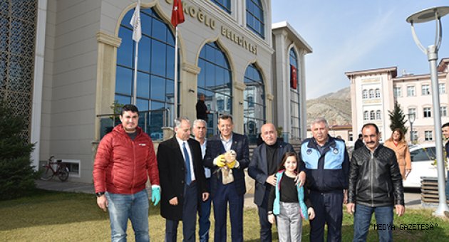 Kahramanmaraş'ta yaralı bulunan şahin tedavi altına alındı