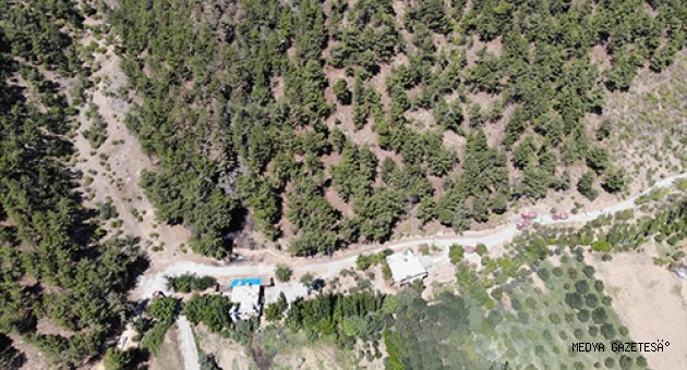 Kahramanmaraş'taki örtü yangınında 10 hektar alan zarar gördü