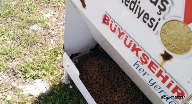 Kedi ve köpek evlerine mamalar bırakılıyor