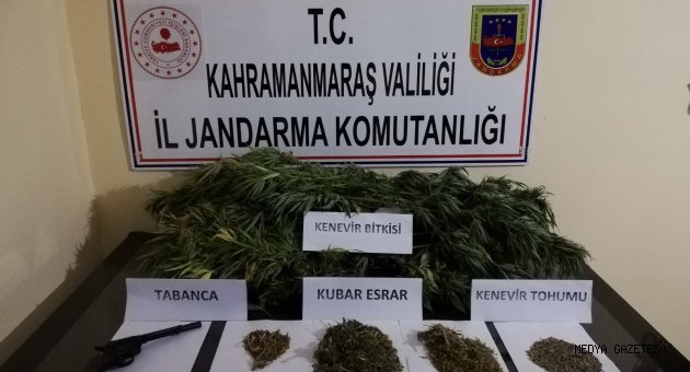 KENEVİR BİTKİSİ VE RUHSATSIZ TABANCA ELEGEÇİRLDİ