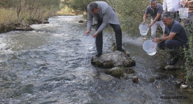 KIRMIZI BENEKLİ YAVRULAR TÖRBÜZEK ÇAYI İLE BULUŞTU