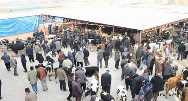 KURBAN SATIŞ VE KESİM YERLERİ BELİRLENDİ