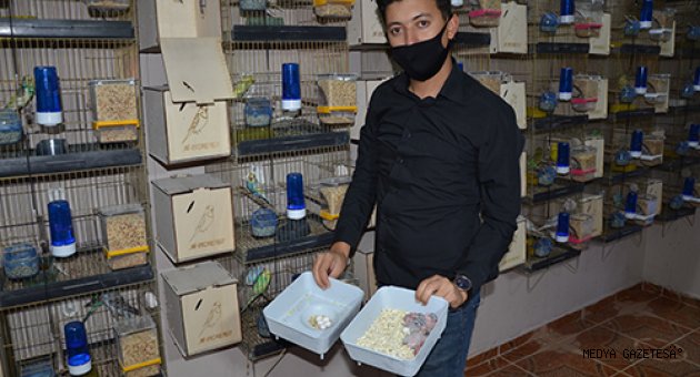 Kuş sevgisi onu yüzlerce kuş sahibi yaptı