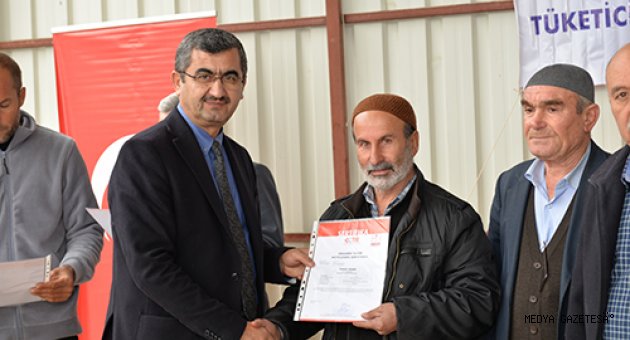 ORGANİK ZEYTİNLER KAHRAMANMARAŞ’TAN