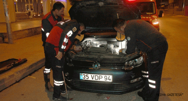Otomobilin motor kısmına sıkışan kedi yavrusu kurtarıldı