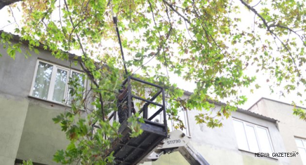 PARK BAHÇEDEN KIŞ HAZIRLIĞI