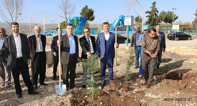 PAZARCIK BELEDİYESİ BİSİKLET VE YÜRÜYÜŞ PARKURU ETRAFINDA FİDAN DİKİMİ YAPILDI