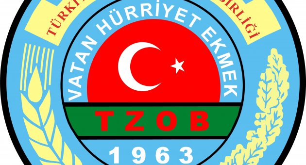 Sebzenin beşte biri seradan…