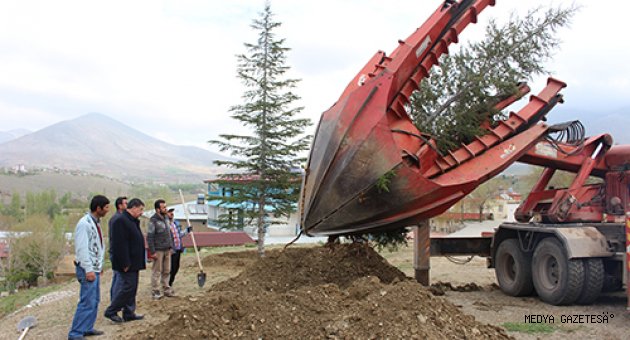 SEYİR TEPESİ DOYUMSUZ GÜZELLİĞİ ALIYOR