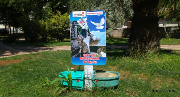 SOKAK HAYVANLARI İÇİN BÜYÜKŞEHİR HER YERDE