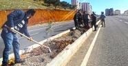 1100 Fidan Toprakla Buluşturuluyor