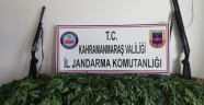 292 KÖK KENEVİR BİTKİSİ ELE GEÇİRİLDİ