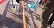 46 Metre Kebap 46 bin Dürüm Adana !