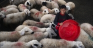 7. TARIM ve İNSAN KONULU FOTOĞRAF SERGİSİ
