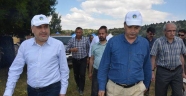 7. YAYLA ŞENLİĞİ KİRAZ YAYLASINDA YAPILDI