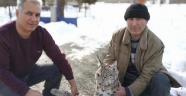 Aç kalan VAŞAKkazada telef oldu