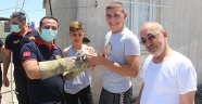 Adana'da evin bacasında sıkışan kedi yavrusunu itfaiye kurtardı