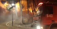 Adana'daki orman yangını