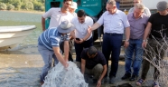 ADATEPE BARAJI TİCARİ BALIKÇILIĞIN MERKEZİ OLUYOR