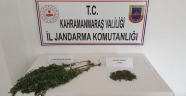 Afşin’de uyuşturucu operasyonu