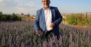 Afşin, tıbbi ve aromatik bitki üretim merkezi olma yolunda