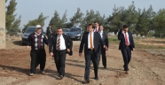 AKSU MESİRE ALANI’NDA İNCELEME