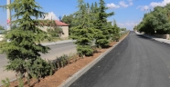 ALTUNELMA MAHALLESİNDE