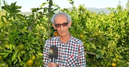ANDIRIN’DA GÜZELİKLER BAHÇESİ: MANDALİNA