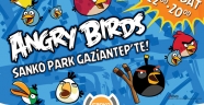 ANGRY BİRDS HEYACANI BAŞLIYOR