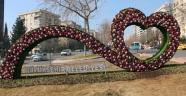 ANIT ÇİÇEKLER GÖZ KAMAŞTIRIYOR