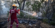 Antalya'da orman yangını