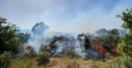 Antalya'nın Kaş ilçesinde makilik ve zeytinlik alanda çıkan yangın kontrol altına alındı.