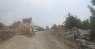 ARIKLAR YOLU’NDA FİLLER ÇEKİMİ