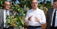 Başkan Güngör: “Baklavanın fıstığı Pazarcık’tan”