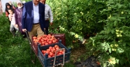 Başkan Güngör: “Kahramanmaraş’ımız tarımın da başkentidir”