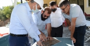 BAŞKAN OKAY GAFARLI MAHALLESİNDE İNCELEMELERDE BULUNDU