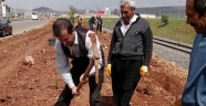 Başkan Yakup Hamdi Bozdağ, İlçeyi Elleriyle Yeşillendiriyor..!