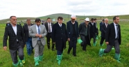 BESİCİLER MERALARINA KAVUŞTU