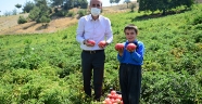 BULANIK DOMATESİNİN ÜNÜ KAHRAMANMARAŞ’I AŞTI