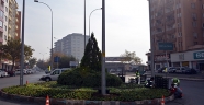 BÜYÜKŞEHİR 1.5 MİLYON ÇİÇEĞİ TOPRAKLA BULUŞTURDU