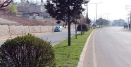 BÜYÜKŞEHİR ANA ARTERLERİ ÇİMLENDİRİYOR