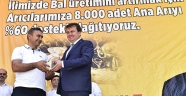 BÜYÜKŞEHİR’DEN ANA ARI DAĞITIMI