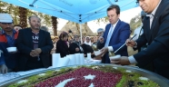 BÜYÜKŞEHİR’DEN AŞURE ŞENLİĞİ