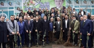 BÜYÜKŞEHİR’DEN ÇİFTÇİLERE 160 BİN FİDAN