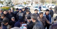 BÜYÜKŞEHİR’DEN ÇİFTÇİLERE ZEYTİN FİDANI