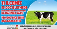 BÜYÜKŞEHİR’DEN HAYVANCILIĞA BÜYÜK DESTEK