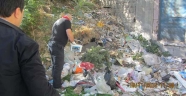 BÜYÜKŞEHİR’DEN KEMİRGENLERLE MÜCADELE