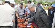 BÜYÜKŞEHİR’DEN ÜRETİCİLERE ÇİLEK FİDESİ