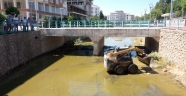 Büyükşehir’den vektörel mücadele